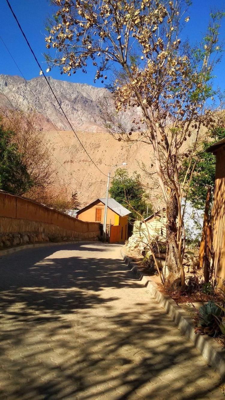 Casa Gabriela, Monte Grande ,Valle De Elqui Bed & Breakfast Bagian luar foto