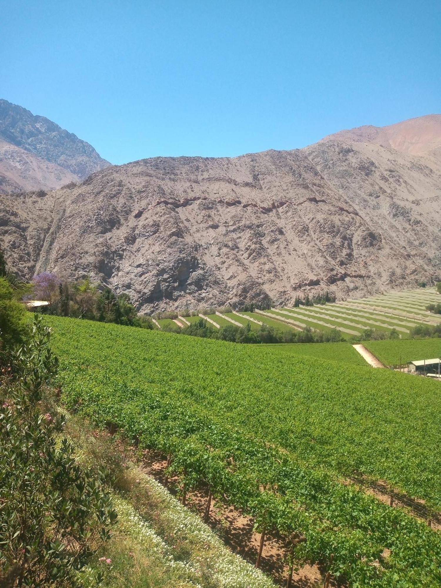 Casa Gabriela, Monte Grande ,Valle De Elqui Bed & Breakfast Bagian luar foto